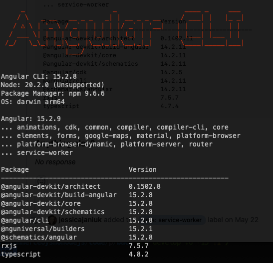 FetchEvent.respondWith error iOS/iPadOS 16.4+ · Issue #50378 · angular ...