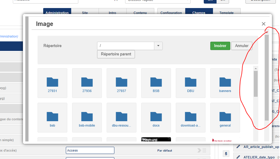 seblod_popup_tinymce