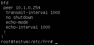 FRR_config_2