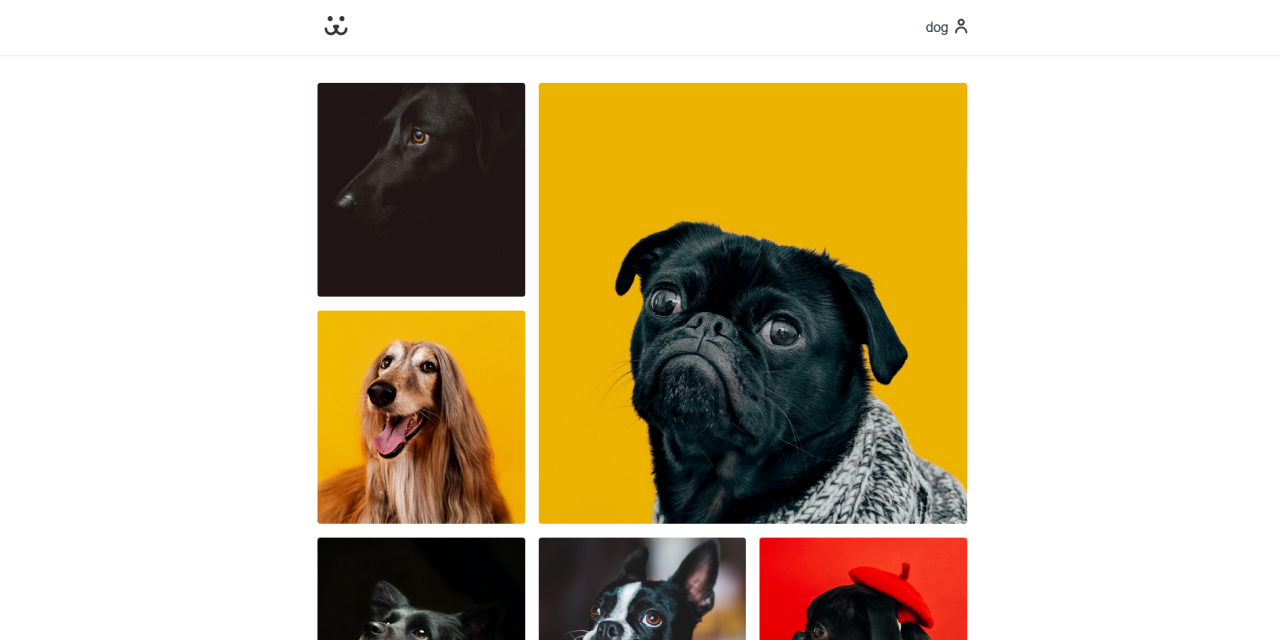 GitHub anasander/dogs A social network for Dogs (React).