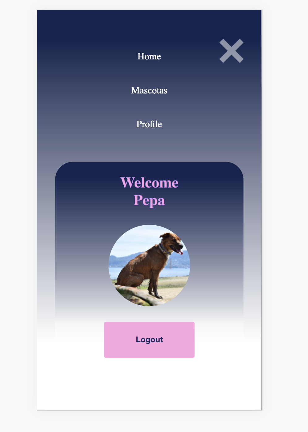 GitHub - pedroleni/animales_front