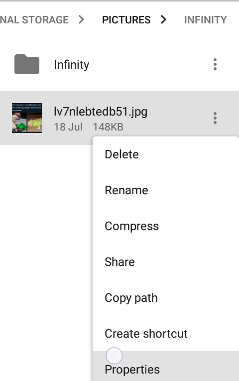 Screenshot where the available options for a single file are shown on the screen