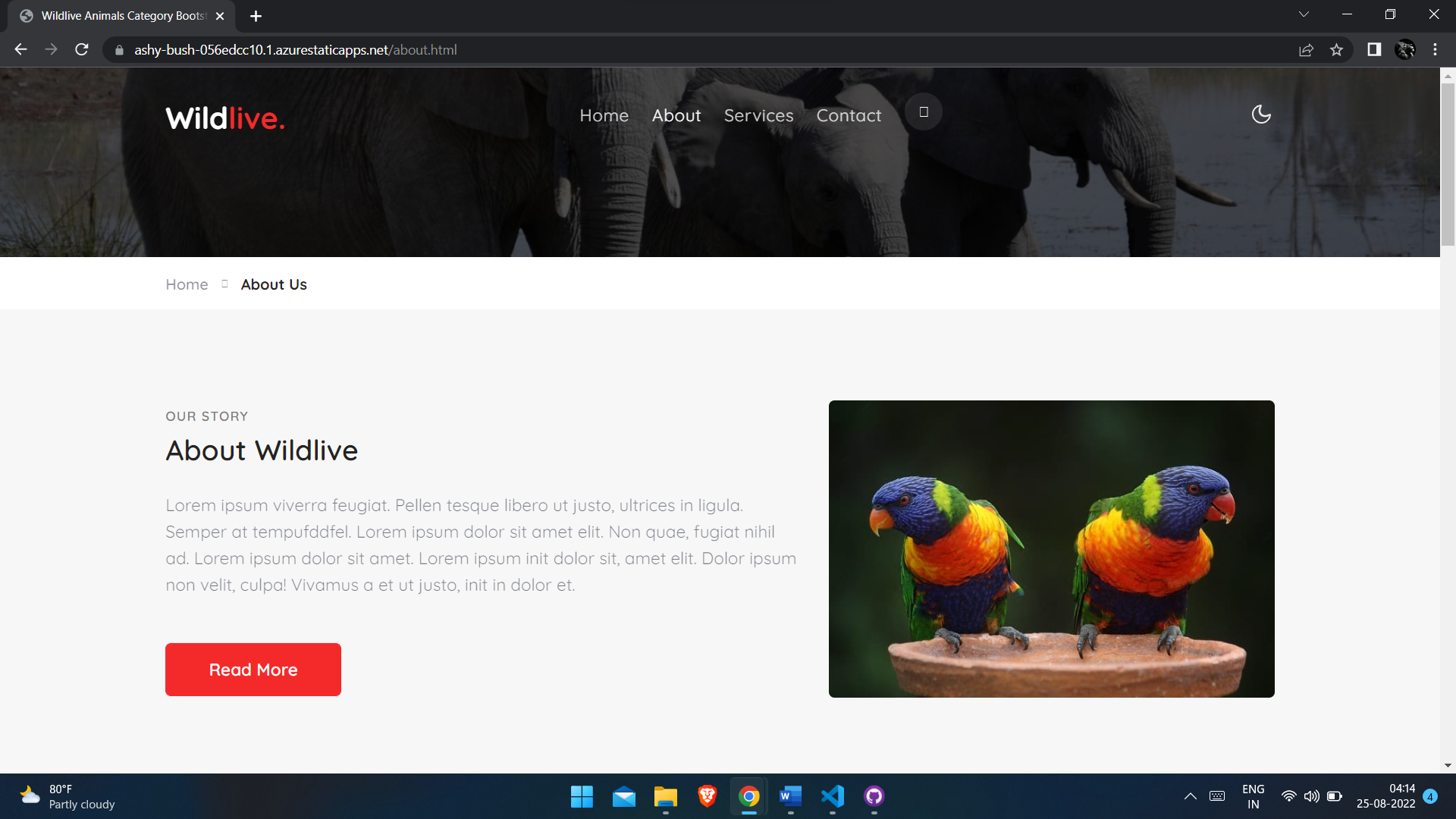 GitHub - adarshshukla725/final-project: Here I create a Wildlife ...