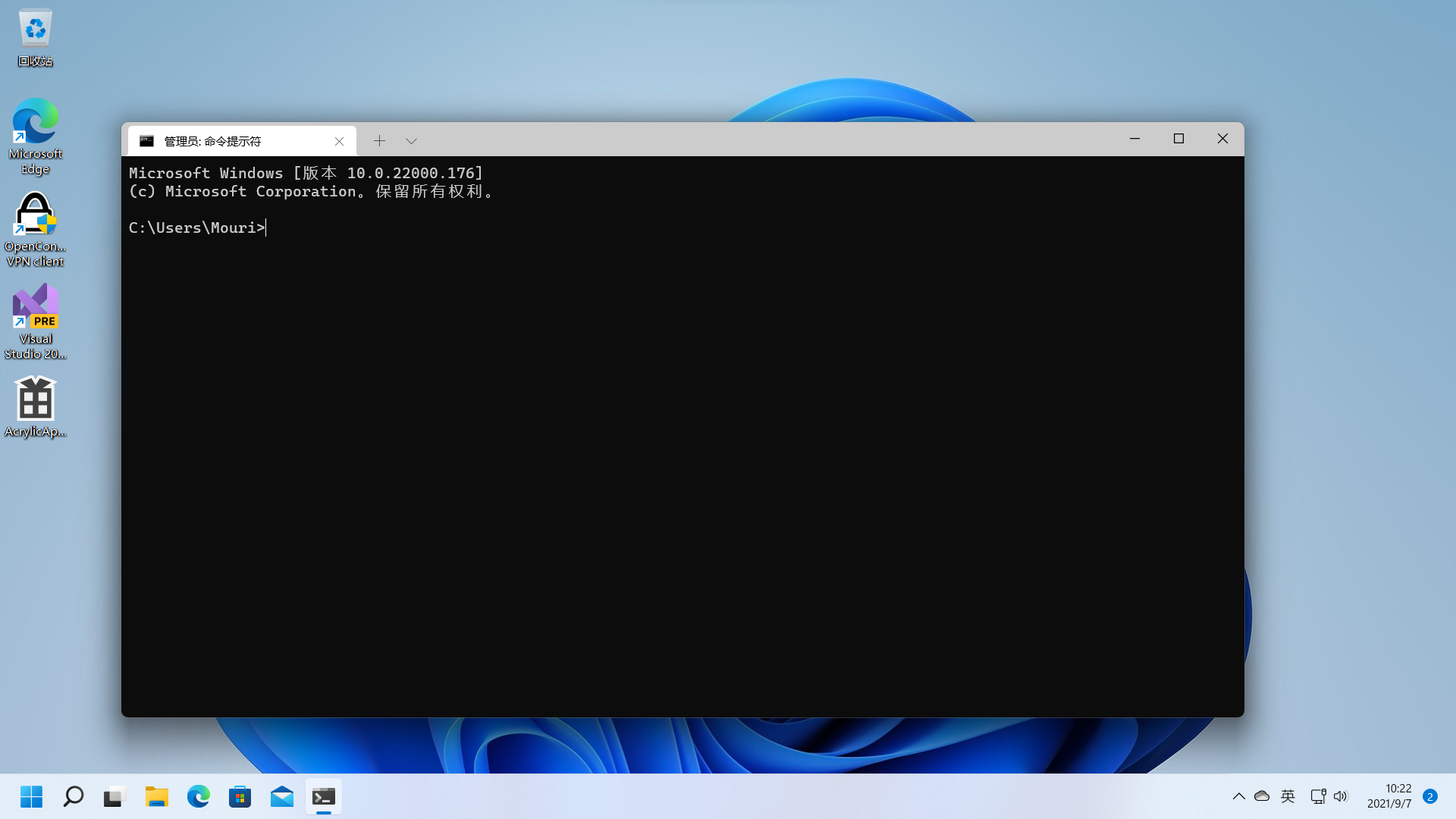 Can't launch Windows Terminal in the Safe Mode of Windows 11 · Issue