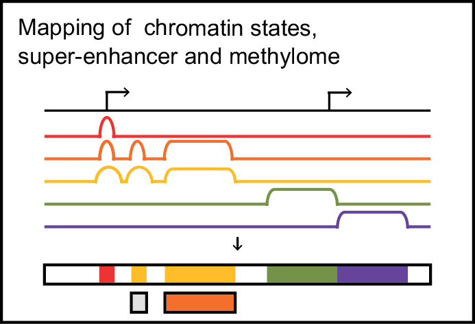 Fig1_emmission