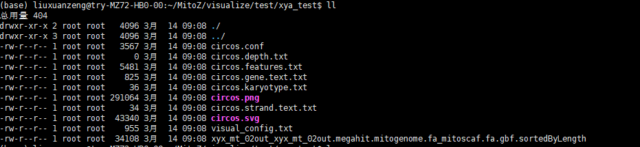 Issue · GitHub