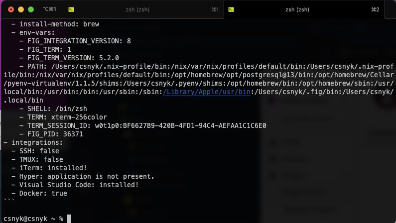 Plugin directory is empty · Issue #1772 · withfig/fig · GitHub