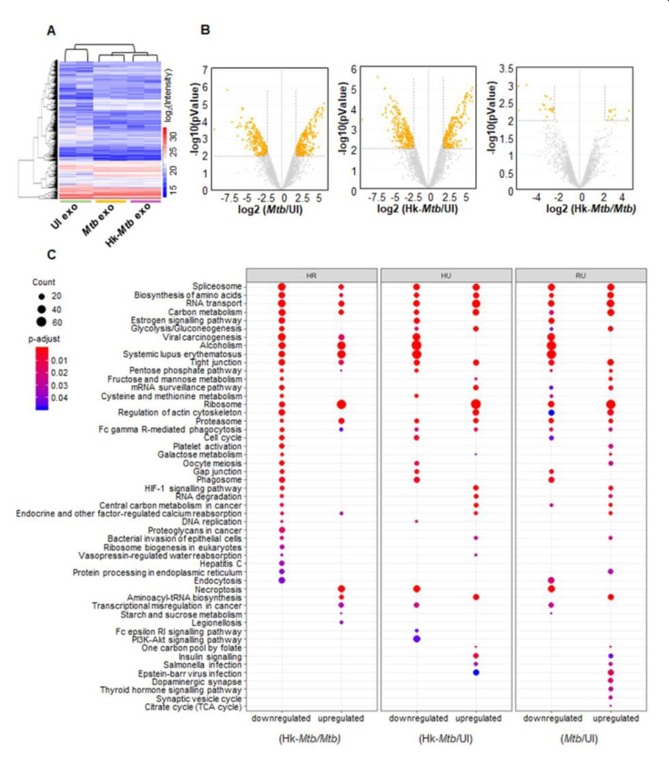 GitHub - SandhyaDS/R-projects: Computational Biology-R projects in both ...
