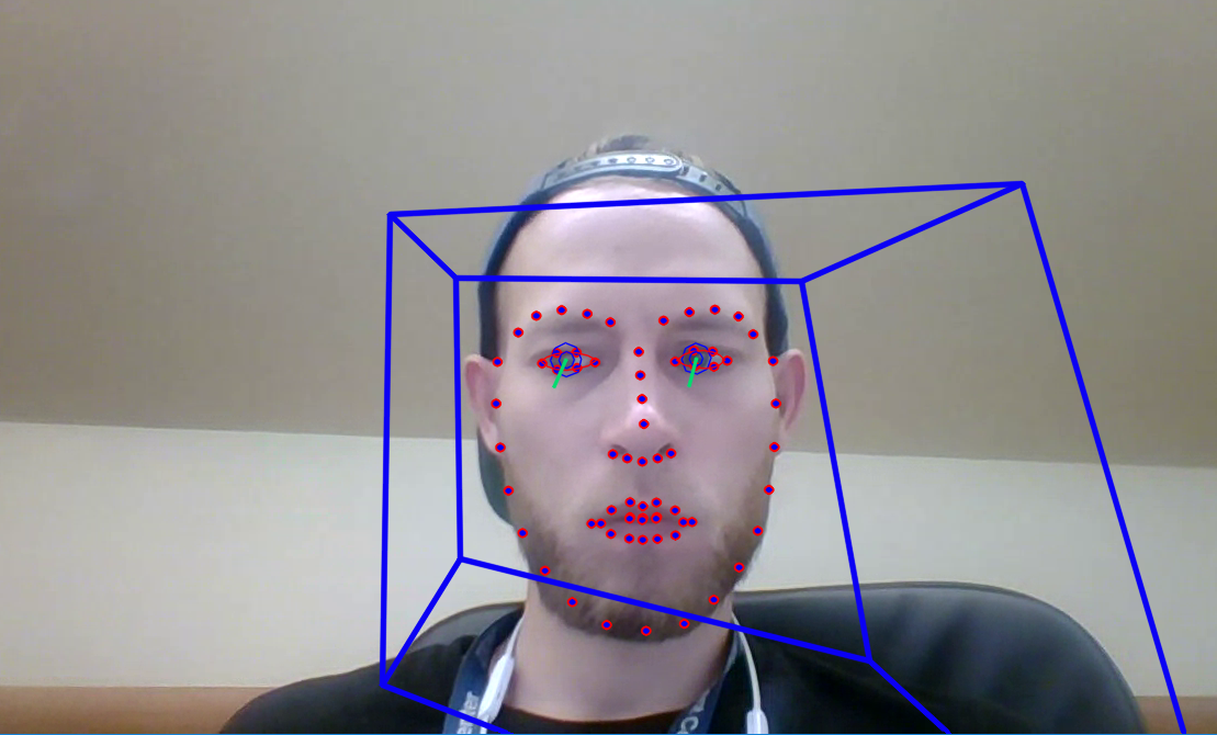 Face box error · Issue #481 · TadasBaltrusaitis/OpenFace · GitHub