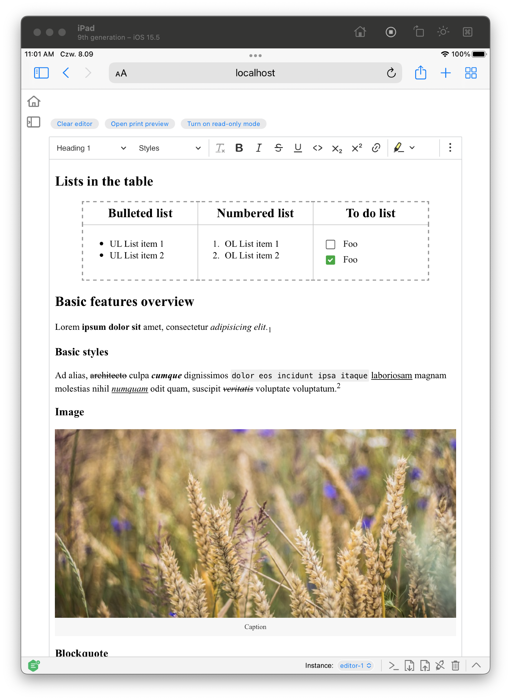 Manual tests should not open zoomed out on iOS · Issue #12438 ...