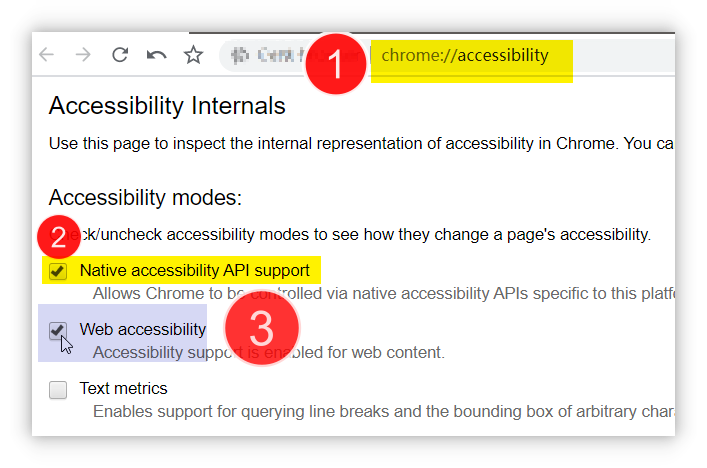 chrome:accessibility ☑Web accessibility⠅Stagnant🐞🐛🕷😭 · Issue #933 ...