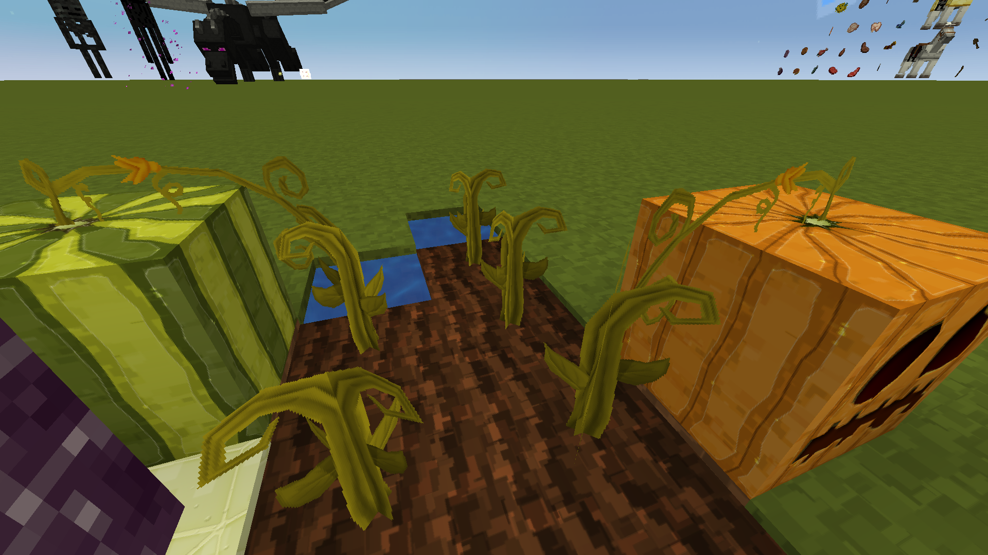 Grugsy's Profile - Member List - Minecraft Forum