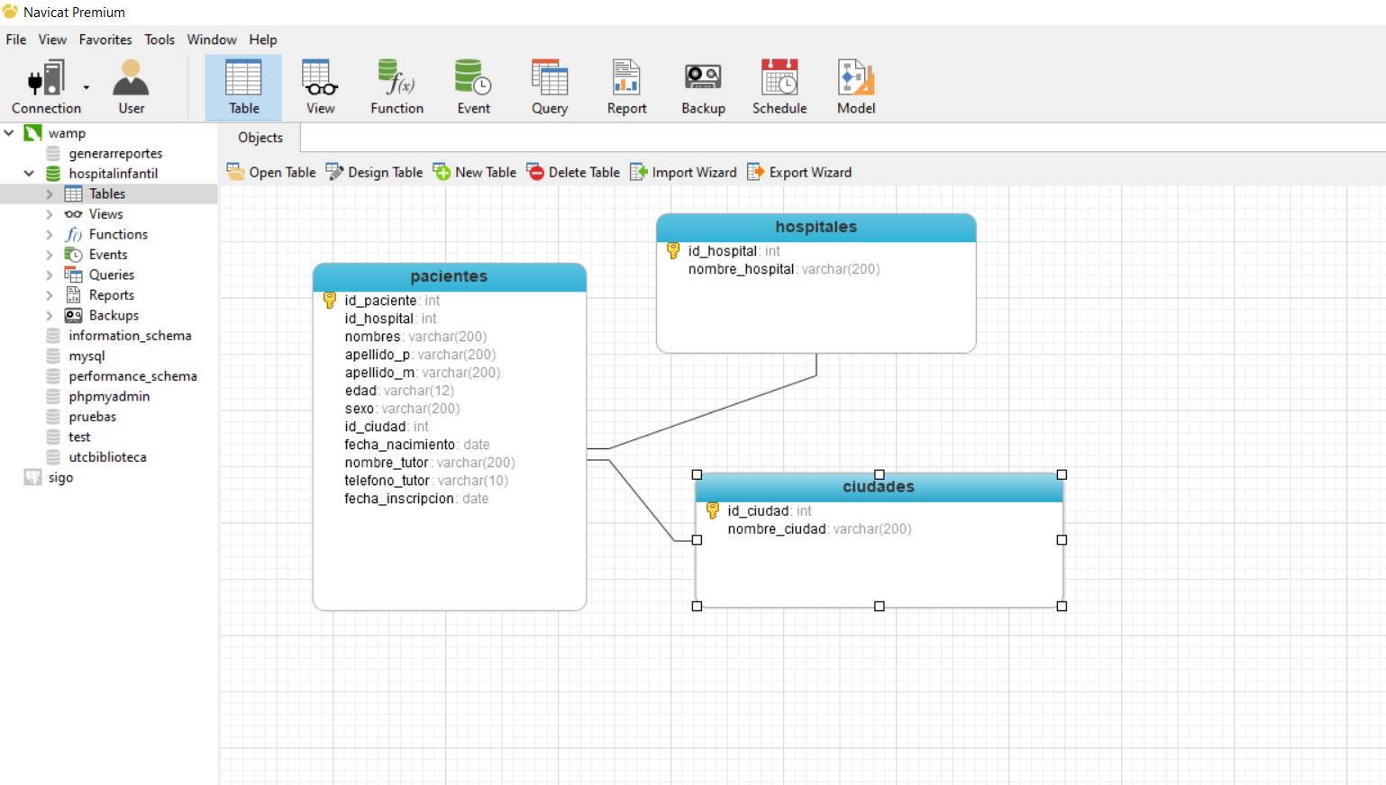 GitHub - mitchcanul/Registro-Hospital: Prueba