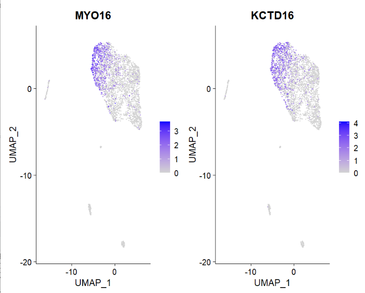 GitHub - vinaya1699/Single-cell-RNA-analysis · GitHub