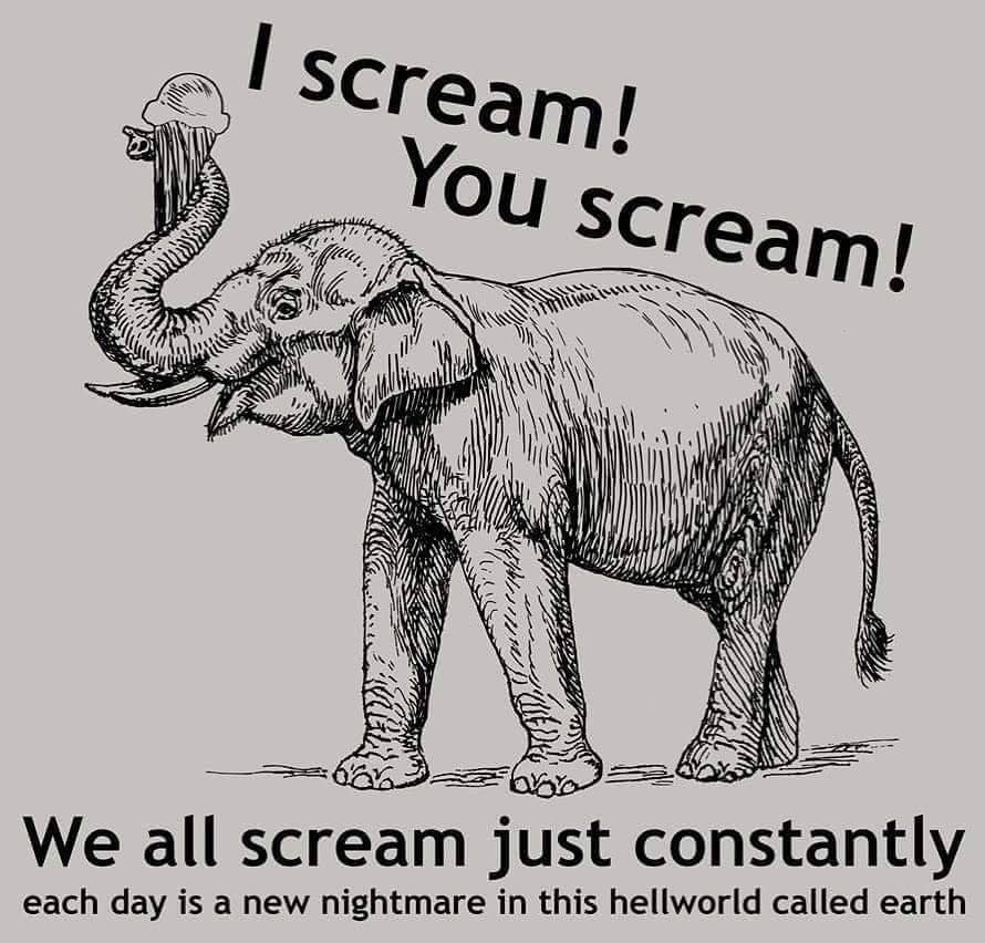 whyarentyouscreaming