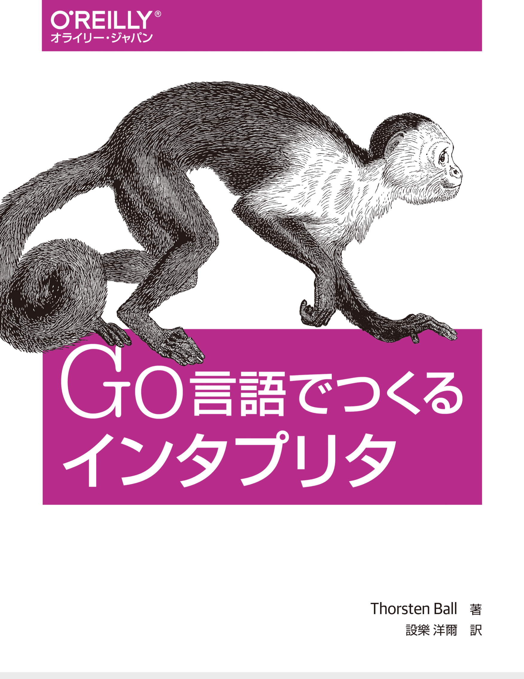 GitHub - kawamataryo/go-monkey: Code for "Writing An Interpreter in Go"
