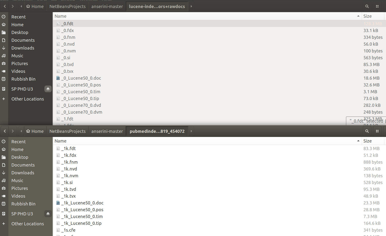 IndexUtils fails with collection indexed with my own Lucene Indexer ...