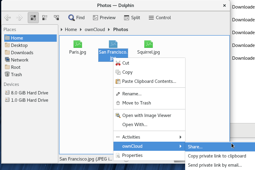 dolphin integration on Fedora28 misses overlay icons · Issue #6684 ...