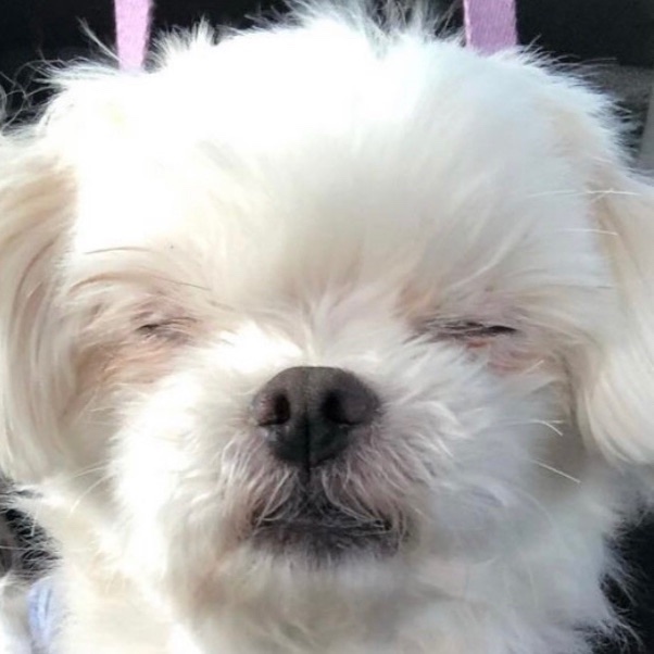 동훈