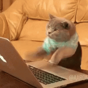 CatComputerGIF