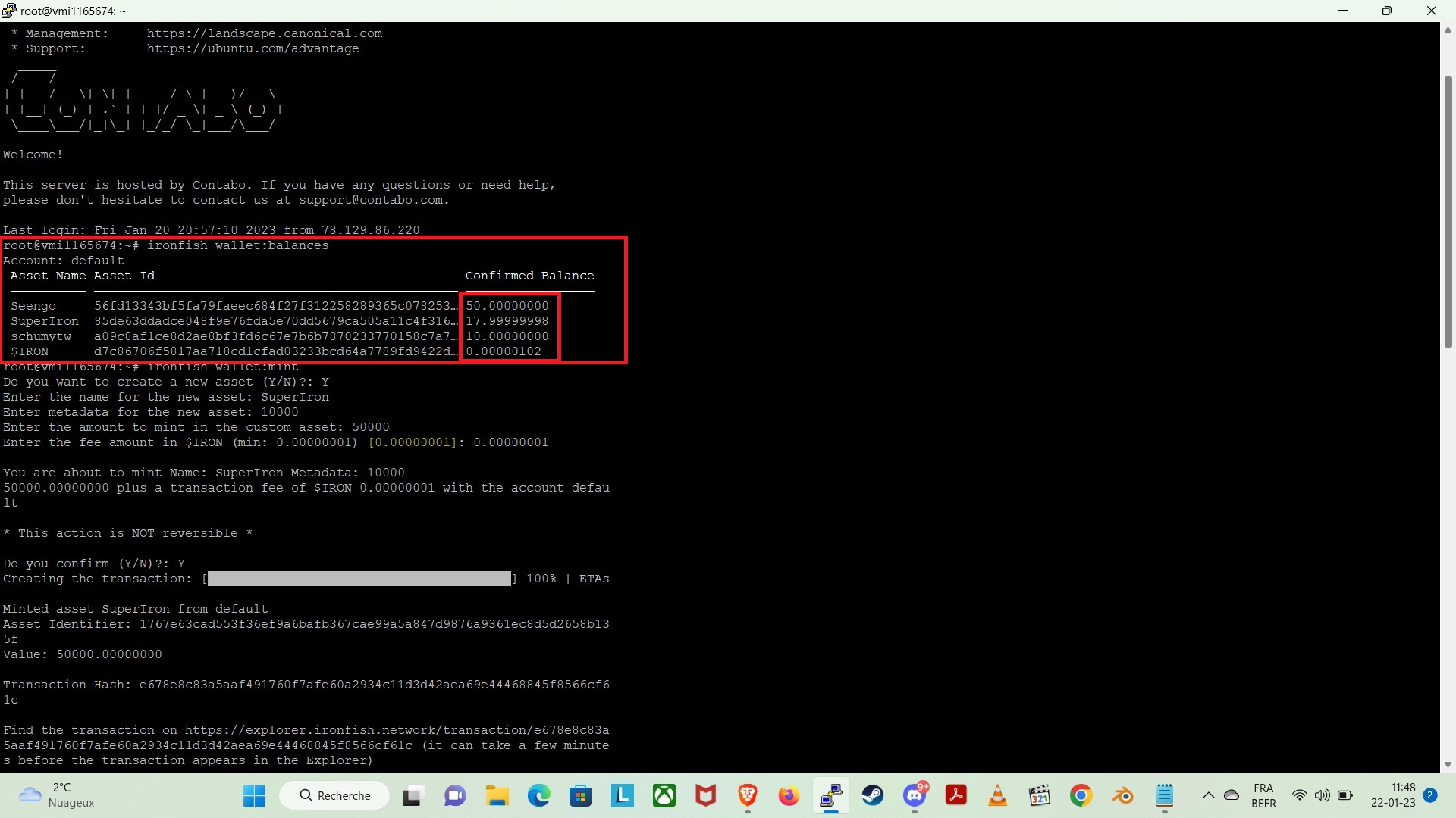 Balances issues · Issue 3067 · ironfish/ironfish · GitHub