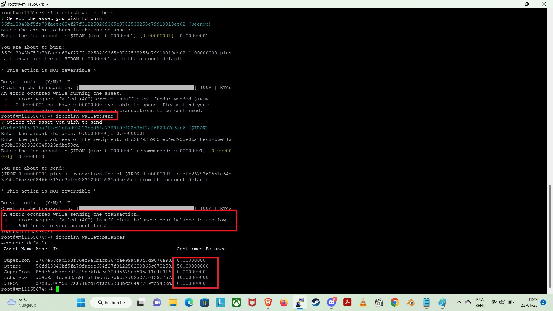 Balances issues · Issue 3067 · ironfish/ironfish · GitHub