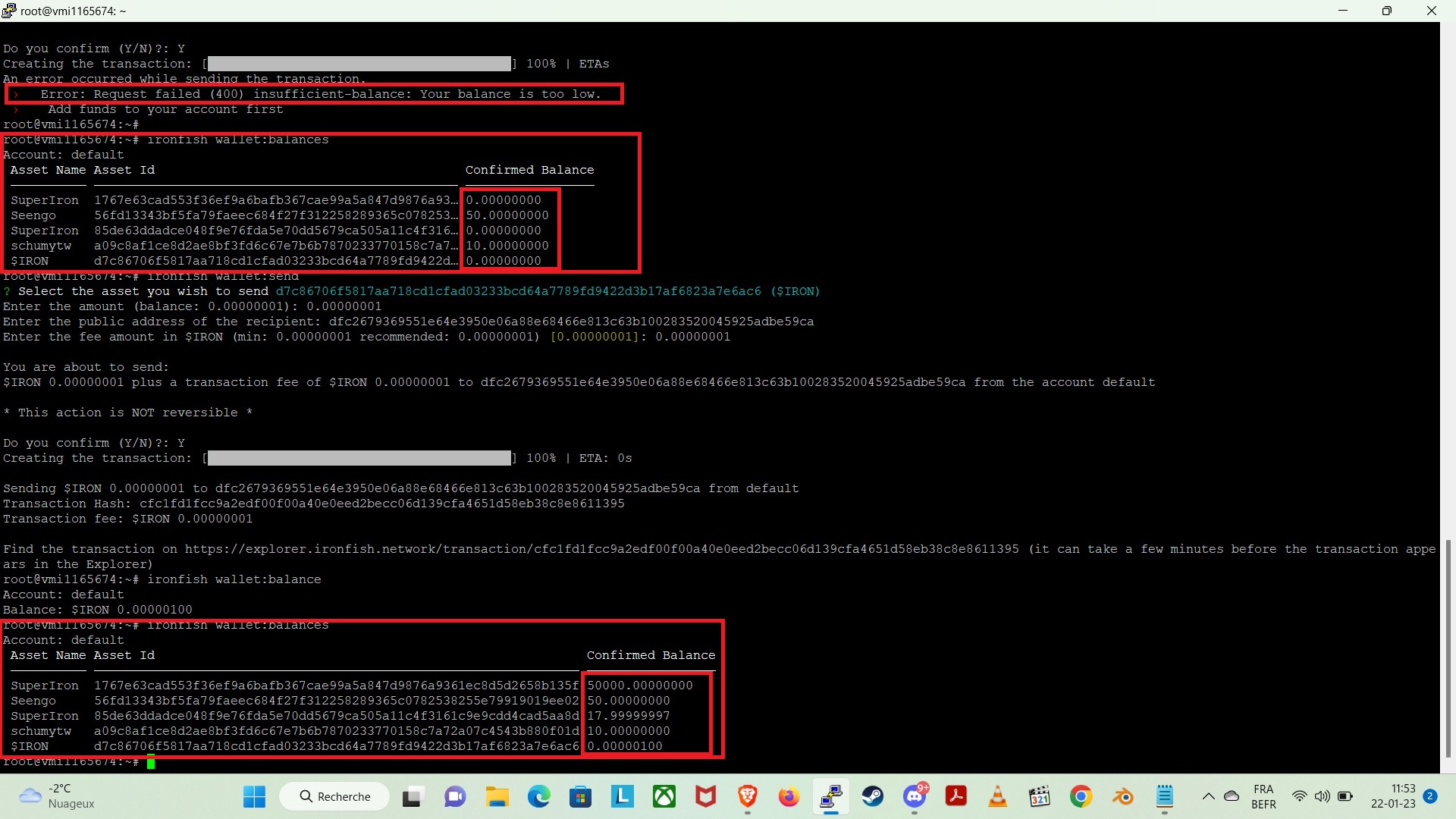 Balances issues · Issue 3067 · ironfish/ironfish · GitHub