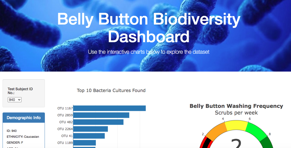 GitHub - Madeye24/BellyButton-Biodiversity: Javascript