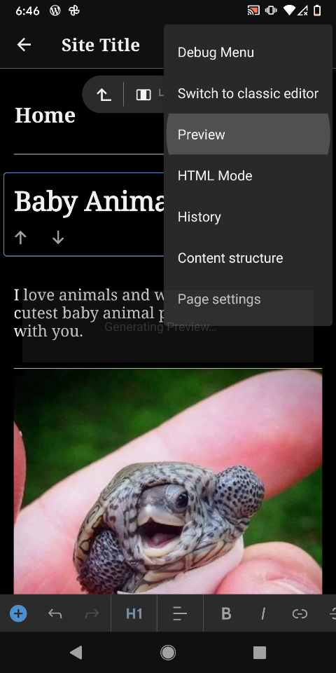 homepage-preview-option