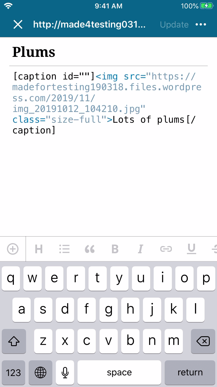 caption-example-native-ios-aztec-editor