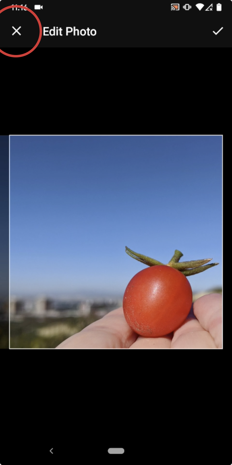 Screen Shot 2020-08-13 at Aug 13 11 21 42 AM