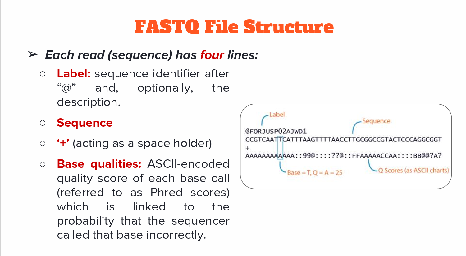 What Is Fastq Format FASTQ Format Specification NQNBFZ