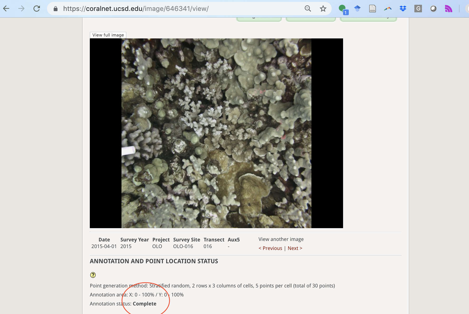 Confirmed image missing annotations · Issue #225 · coralnet/coralnet ...