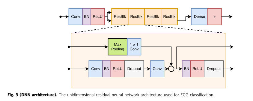 GitHub - RashtyShahar/ECG-Final-Project
