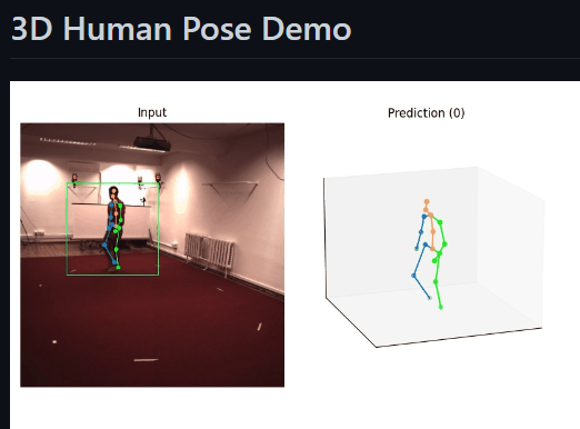 3D Human Pose Demo · Issue #1689 · open-mmlab/mmpose · GitHub