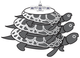 turtle