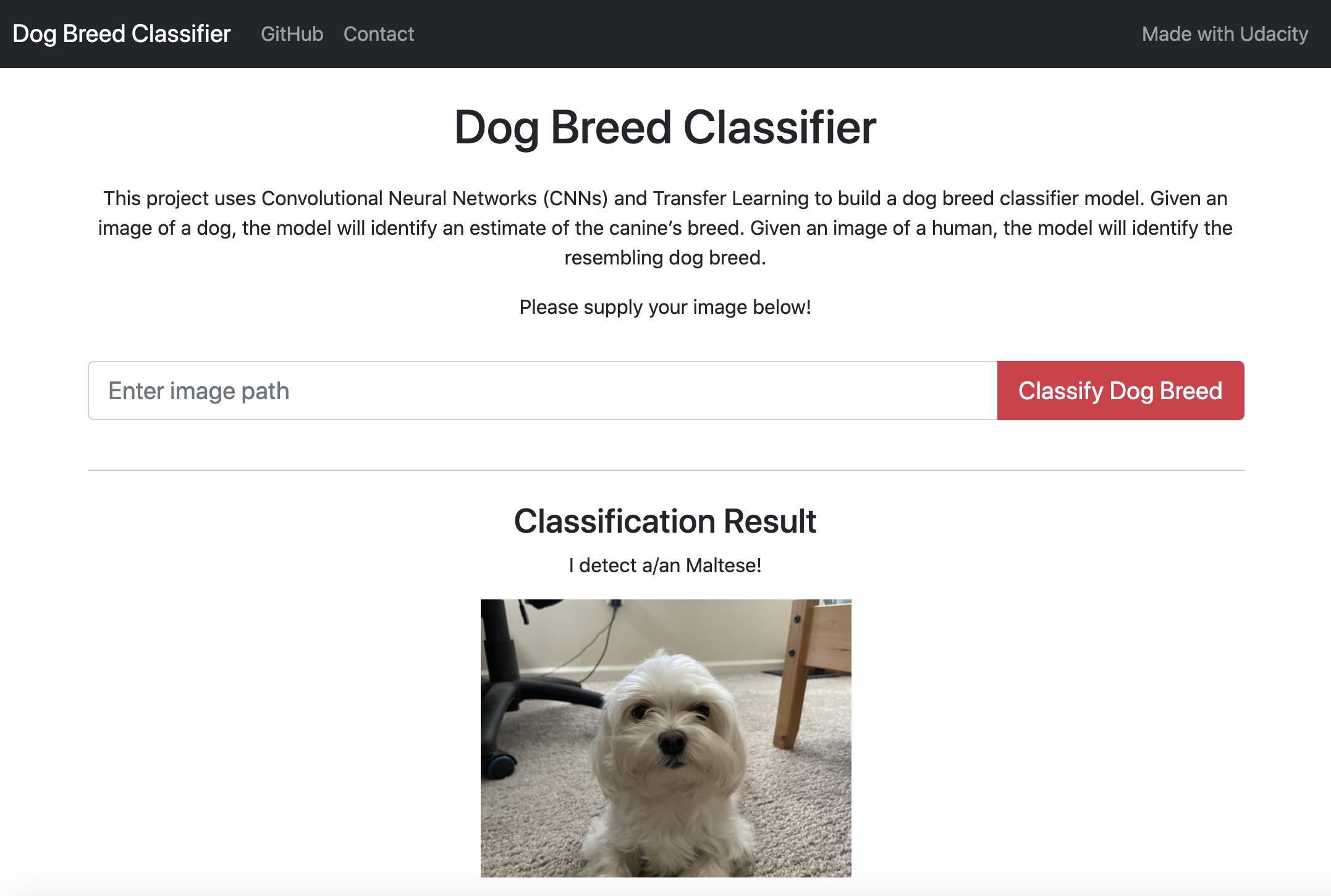 GitHub - cmeng94/dog-breed-classifier