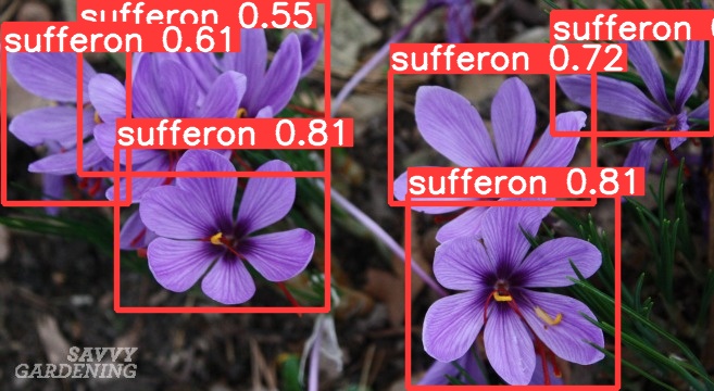 Github Amirrezafarokhy Sufferon Object Detection