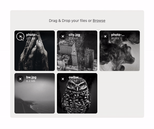 kapture 2019-02-04 at 12 13 33