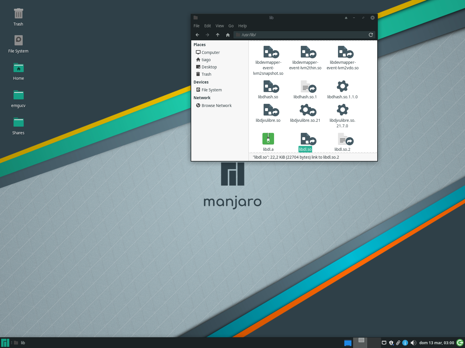 [BUG] Unable to load shared library 'dl' on Manjaro KDE · Issue #428 ...