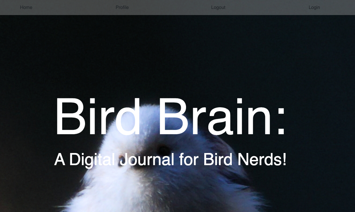 GitHub - Sullisters/Bird-watcher: Web app to track and compartmentalize ...