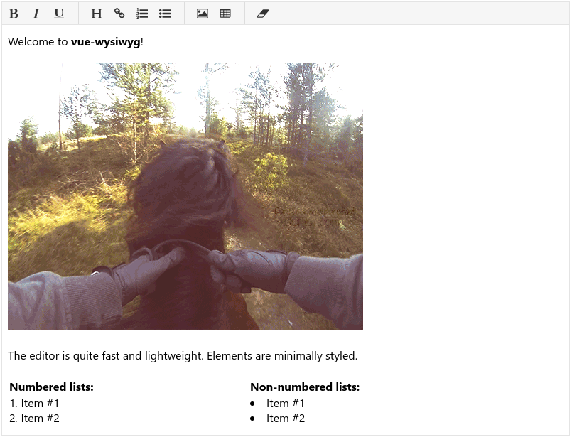 vue-wysiwyg