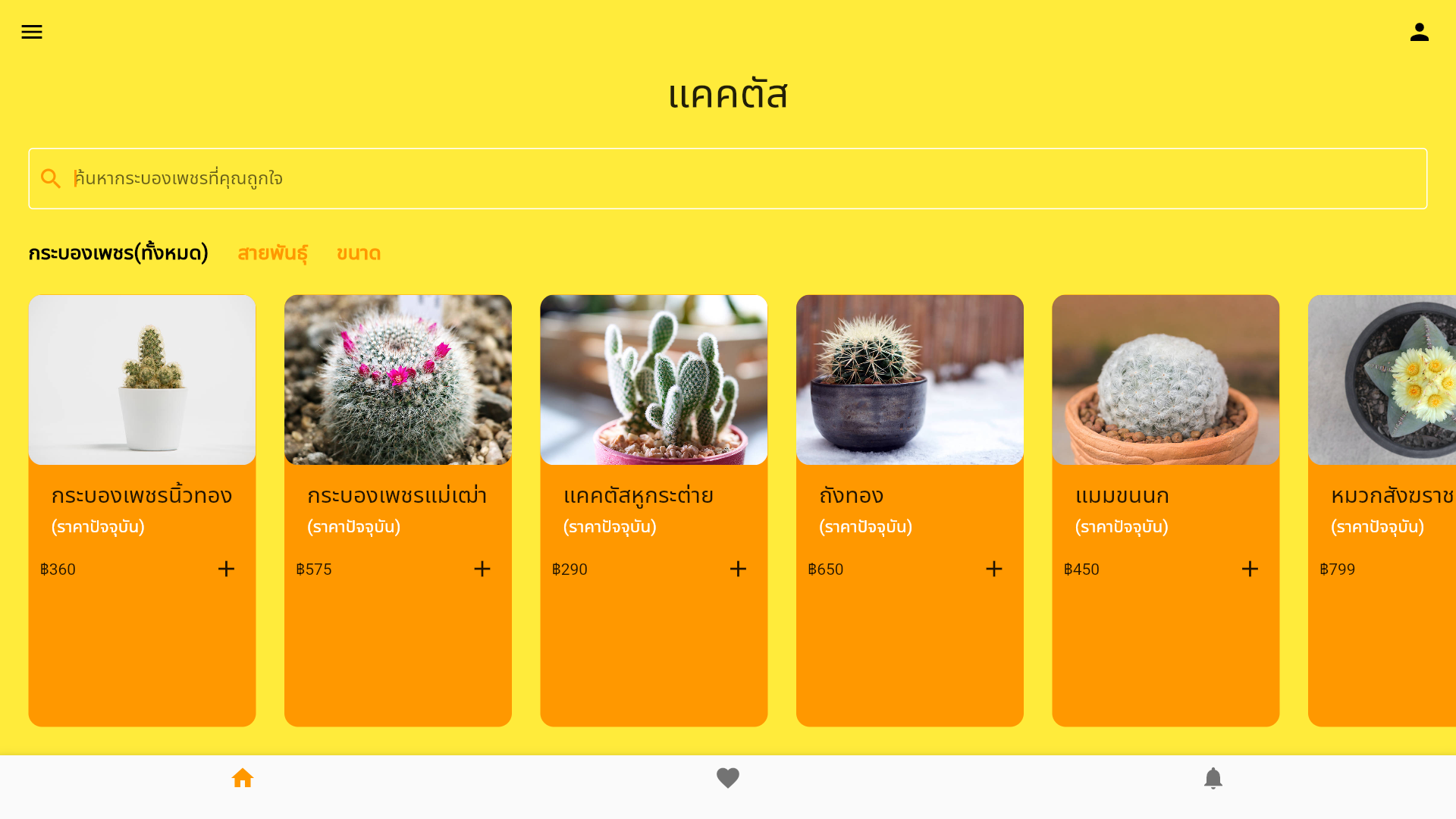 GitHub NOOKNICK21/cactusapp application cactus