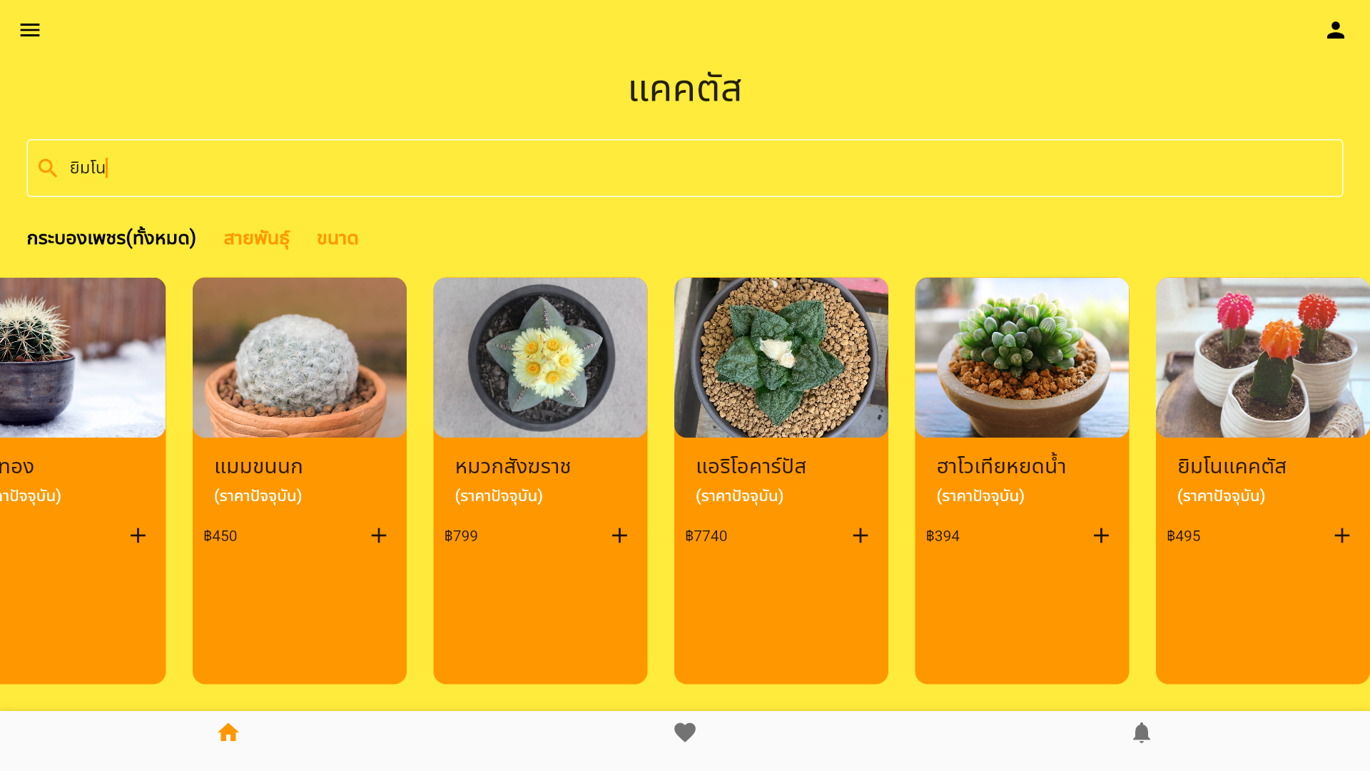 GitHub NOOKNICK21/cactusapp application cactus