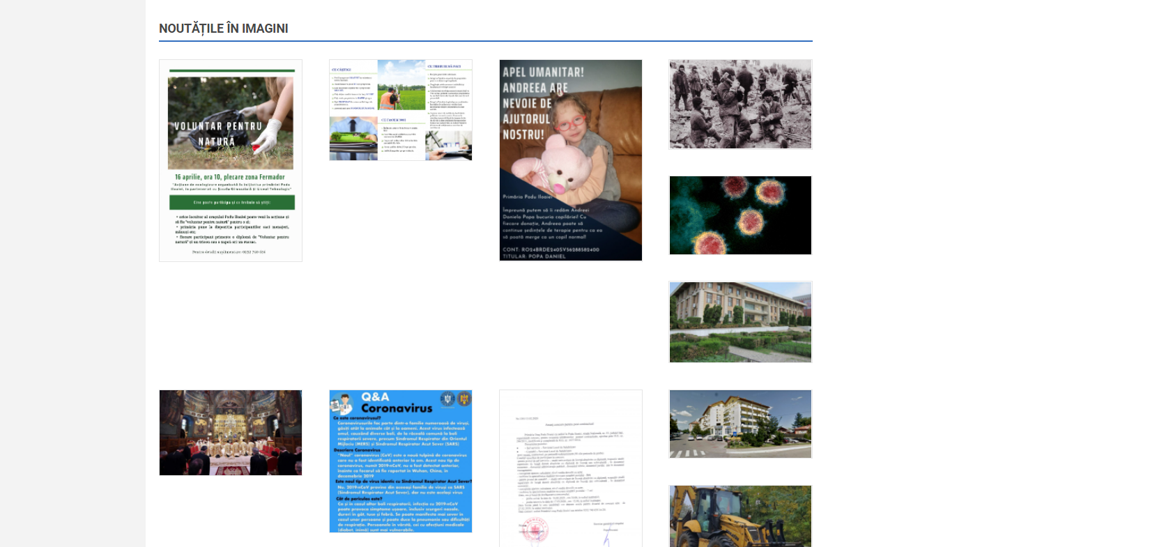 GitHub - IonelaBita/Bug-Reports: Below are some examples of Bug Report ...