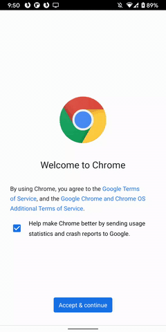 ChromeDelayInLoadingFavicons