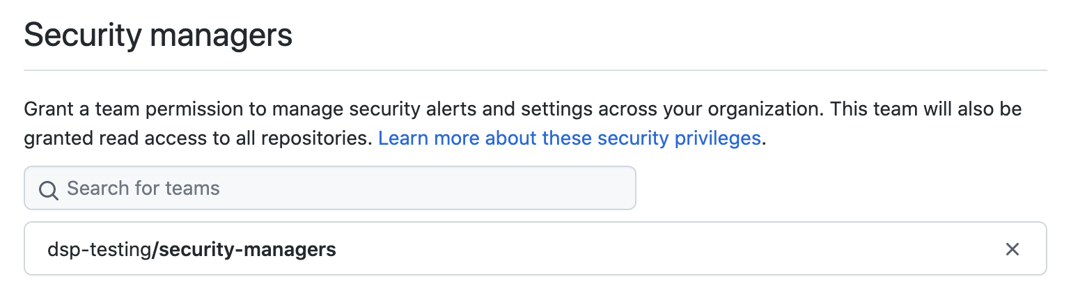 Security manager configuration
