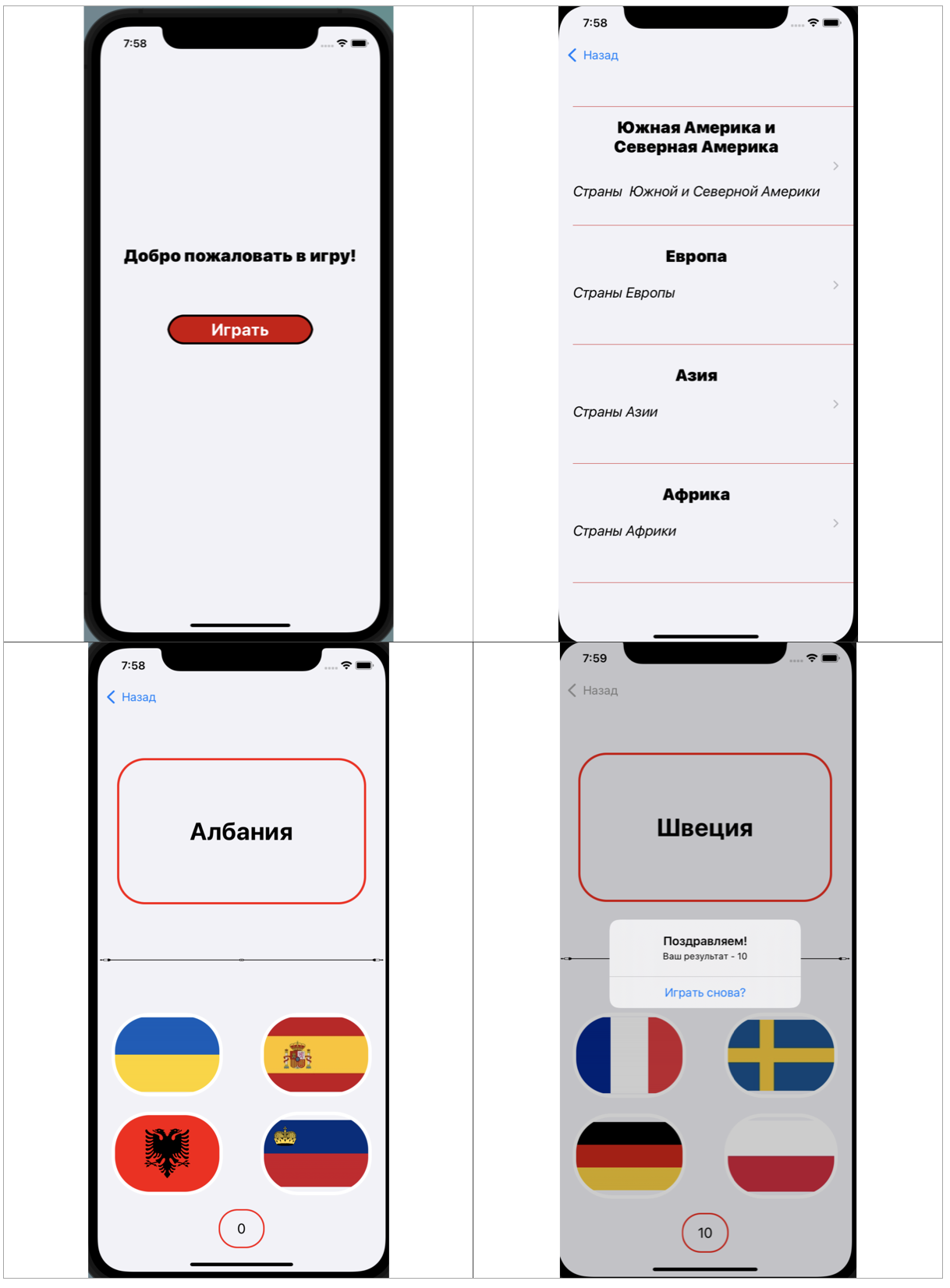GitHub - DenSwift/GuessFlagGame: This is a game in which you have to ...