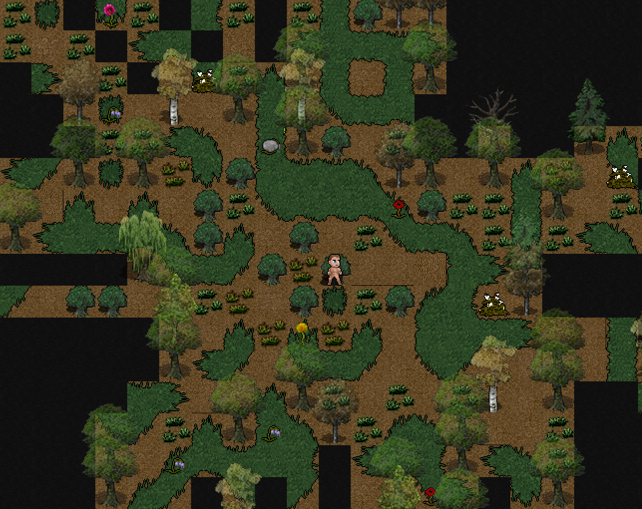 forest_spring