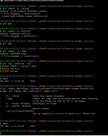 GitHub - anaiiflores/Entregar-examen-Entorns